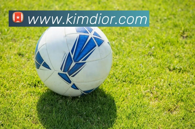 乐竞官方在线登录入口平台生态图